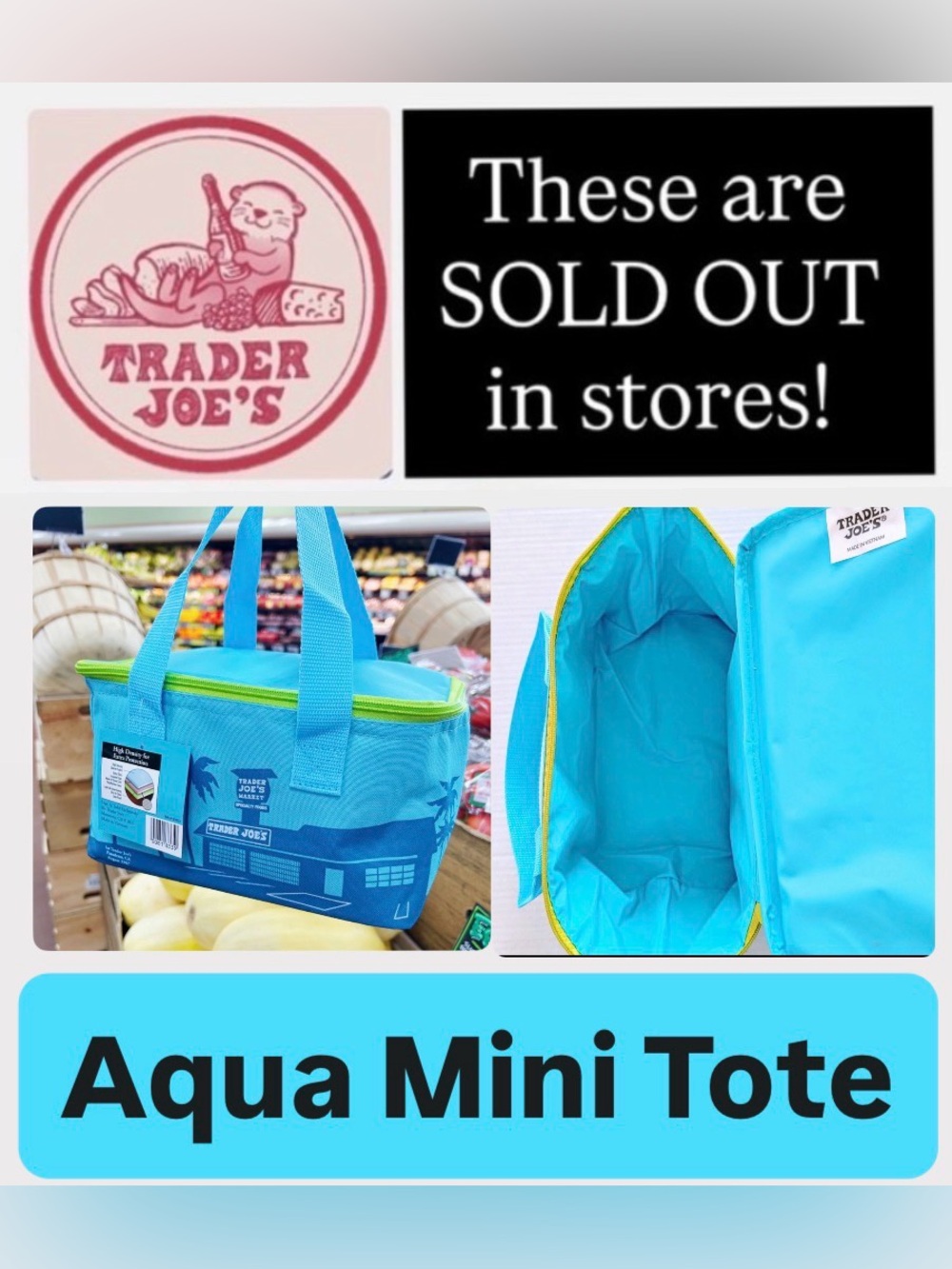 🌺NWT Trader Joe's insulated Aqua Mini Tote - Summer 2025 - Picture 3 of 8